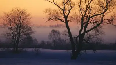 Фото © Sputnik / Юрий Кавер, фото - Новости Zakon.kz от 02.12.2017 14:46
