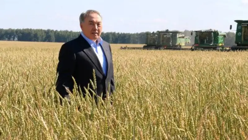 В Акмолинской области Н.Назарбаеву представили новые сорта пшеницы