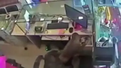 Zakon.kz, фото - Новости Zakon.kz от 07.06.2016 23:25