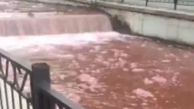 скриншот, фото - Новости Zakon.kz от 20.05.2018 22:01