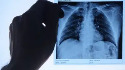 из открытых источников, фото - Новости Zakon.kz от 11.09.2020 09:15