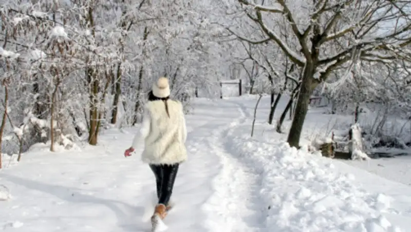 Аномальное потепление ожидается в Казахстане