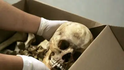 Zakon.kz, фото - Новости Zakon.kz от 18.01.2017 04:54