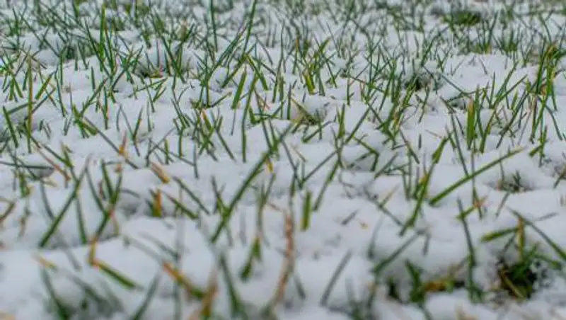 Сильные осадки в виде дождя и снега ожидаются в Алматы