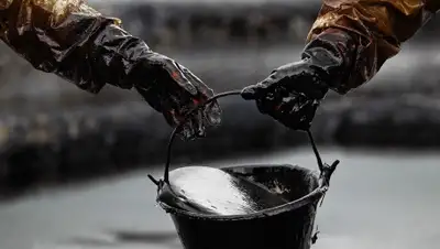 Zakon.kz, фото - Новости Zakon.kz от 20.03.2015 17:29