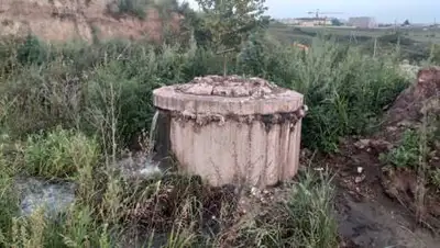 pikabu.ru, фото - Новости Zakon.kz от 16.05.2021 02:06