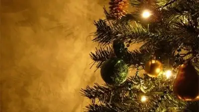 Zakon.kz, фото - Новости Zakon.kz от 31.12.2015 01:24