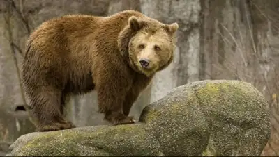 Zakon.kz, фото - Новости Zakon.kz от 26.06.2015 17:13