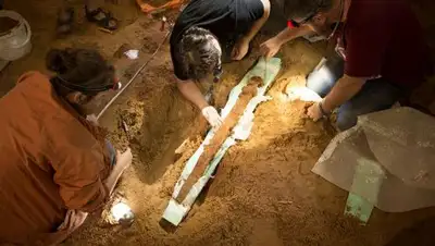 Zakon.kz, фото - Новости Zakon.kz от 19.07.2017 21:47