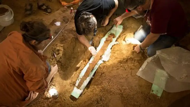 Меч викинга нашли на раскопках кургана под Смоленском