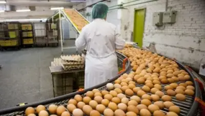 Zakon.kz, фото - Новости Zakon.kz от 03.12.2014 00:10