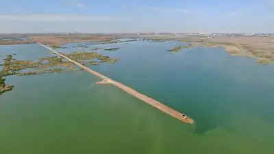 TAZALYQ, фото - Новости Zakon.kz от 01.06.2021 16:13