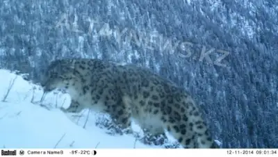 Zakon.kz, фото - Новости Zakon.kz от 06.01.2015 15:01