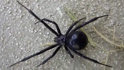 Zakon.kz, фото - Новости Zakon.kz от 09.06.2016 05:40