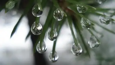 Zakon.kz, фото - Новости Zakon.kz от 26.02.2016 21:53