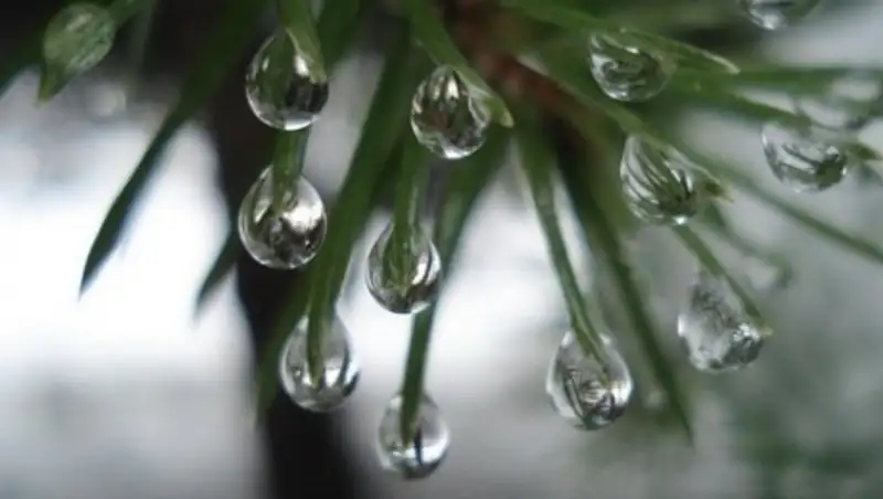 По-весеннему теплую погоду обещают синоптики на эти выходные