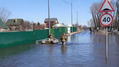 Go68.ru, фото - Новости Zakon.kz от 12.06.2019 23:19