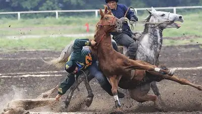 Zakon.kz, фото - Новости Zakon.kz от 31.07.2017 20:15