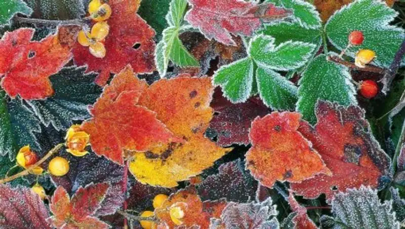 Синоптики озвучили прогноз погоды на выходные дни