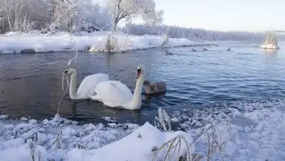 Открытые источники, фото - Новости Zakon.kz от 14.11.2018 21:10