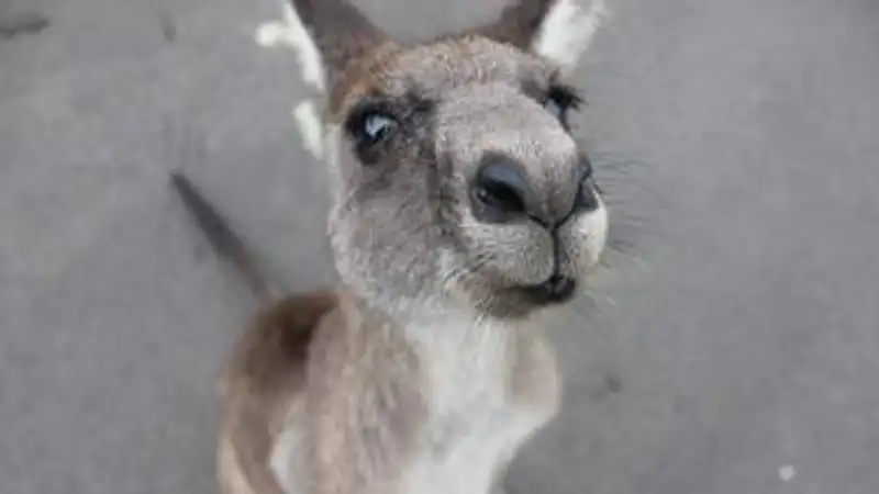 , фото - Новости Zakon.kz от 10.10.2023 11:03