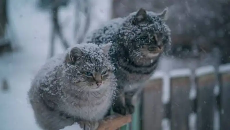 На выходных в Казахстане резко похолодает