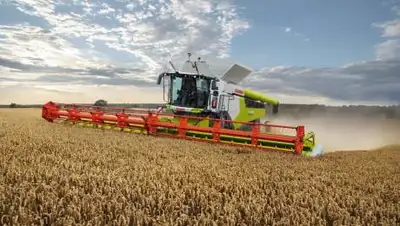 kursiv.kz, фото - Новости Zakon.kz от 02.10.2020 17:48