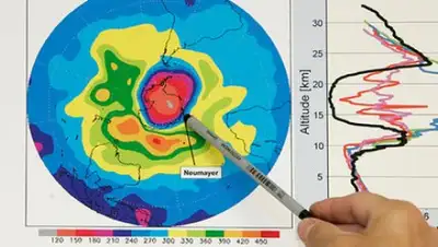 Zakon.kz, фото - Новости Zakon.kz от 06.06.2017 19:48