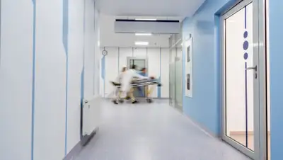 Depositphotos, фото - Новости Zakon.kz от 03.05.2020 19:45