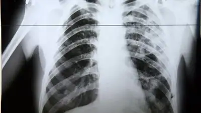 Zakon.kz, фото - Новости Zakon.kz от 01.08.2014 01:08