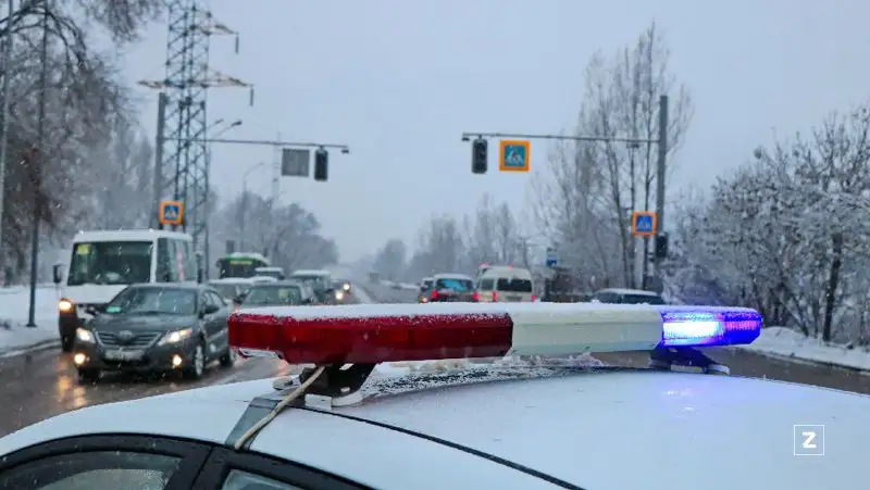 Пенсионера подозревают в краже щитов для снегозадержания в Акмолинской области