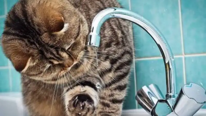 В одном из районов Алматы на несколько дней отключат горячую воду