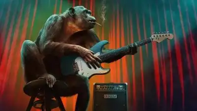 pixabay.com, фото - Новости Zakon.kz от 25.11.2020 10:00