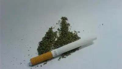 infosmi.net, фото - Новости Zakon.kz от 20.03.2018 16:09