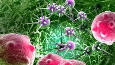 Zakon.kz, фото - Новости Zakon.kz от 16.10.2014 15:25