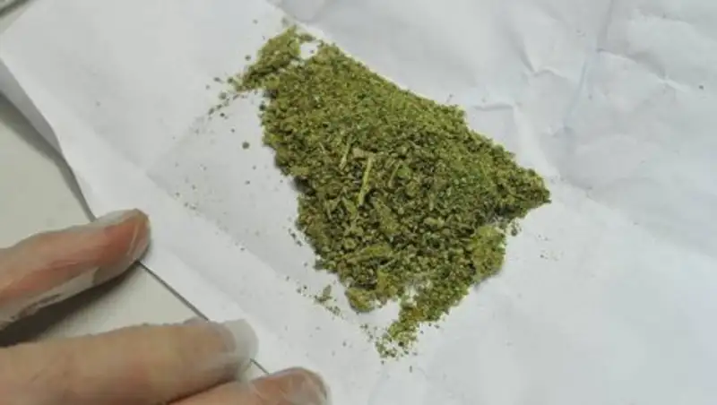 В Астане работники развлекательного комплекса торговали марихуаной на работе