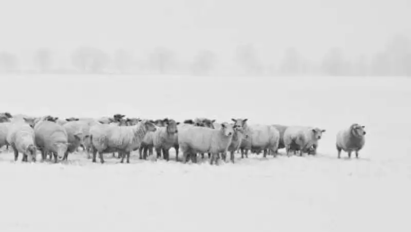 Три пастуха заблудились в степи ВКО