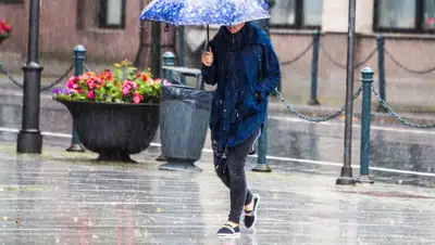 almaty.tv, фото - Новости Zakon.kz от 04.05.2020 14:03