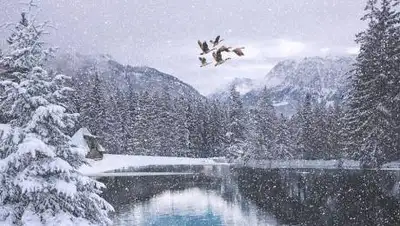 pixabay.com, фото - Новости Zakon.kz от 28.10.2021 15:18