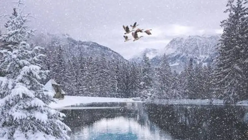 Сильный снег, туман и гололед ожидаются в Казахстане