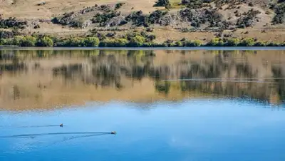 журналистка утонула в Акмолинской области, фото - Новости Zakon.kz от 22.07.2022 09:41