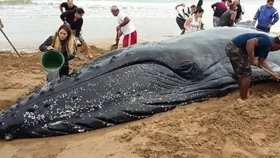 Zakon.kz, фото - Новости Zakon.kz от 26.08.2017 10:52