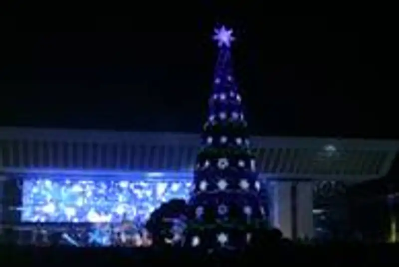 В Алматы зажгли главную новогоднюю ёлку (фото), фото - Новости Zakon.kz от 01.12.2011 02:06