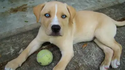 Zakon.kz, фото - Новости Zakon.kz от 15.01.2018 12:13