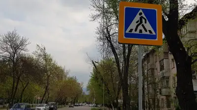 "Знак в шоке": упавший во время интервью дорожный знак рассмешил комментаторов, фото - Новости Zakon.kz от 29.09.2023 12:19