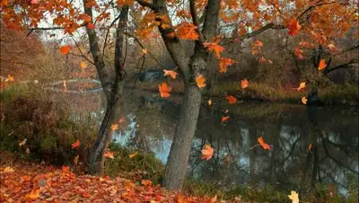 Zakon.kz, фото - Новости Zakon.kz от 30.10.2017 17:02