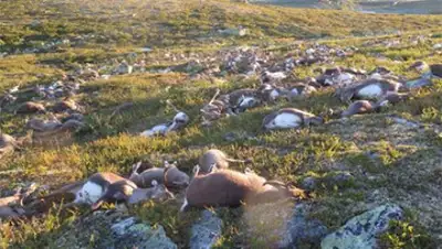 Zakon.kz, фото - Новости Zakon.kz от 30.08.2016 07:04