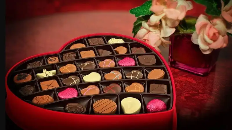 Что будет, если каждый день есть горький шоколад