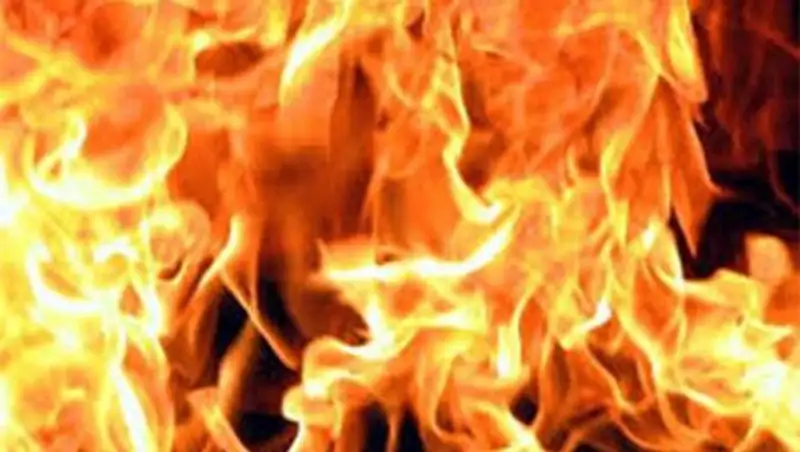 В крестьянском хозяйстве Акмолинской области заживо сгорел мужчина