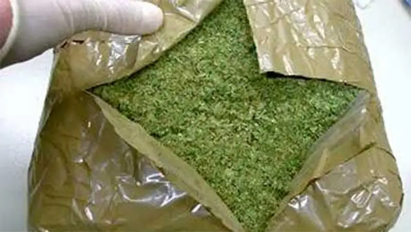 Более 30 кг марихуаны и около 1 кг героина изъяли в Павлодаре у 26-летнего экибастузца